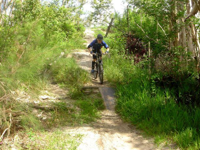 A mountain biker navigating a narrow dirt trail surrounded by greenery and trees. The bike is mid-ride over a small wooden plank, with sunlight filtering through the foliage above. Markham Park mountain bike trail.