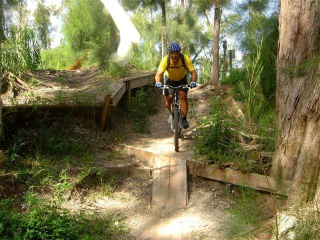 A mountain biker wearing a yellow shirt and blue helmet navigates a dirt trail equipped with wooden features, surrounded by lush greenery and tall trees. Markham Park mountain bike trail.
