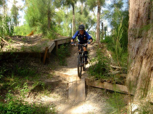 A mountain biker riding over a wooden ramp on a forested trail surrounded by trees and greenery, showcasing an adventurous outdoor scene. Markham Park mountain bike trail.