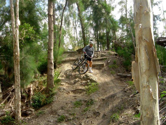 A person standing beside a mountain bike on a dirt trail in a forested area, surrounded by tall trees. The trail has a steep incline with exposed roots and rocks, indicating a rugged biking route. The cyclist appears to be taking a break, wearing casual athletic clothing and a helmet. Markham Park mountain bike trail.