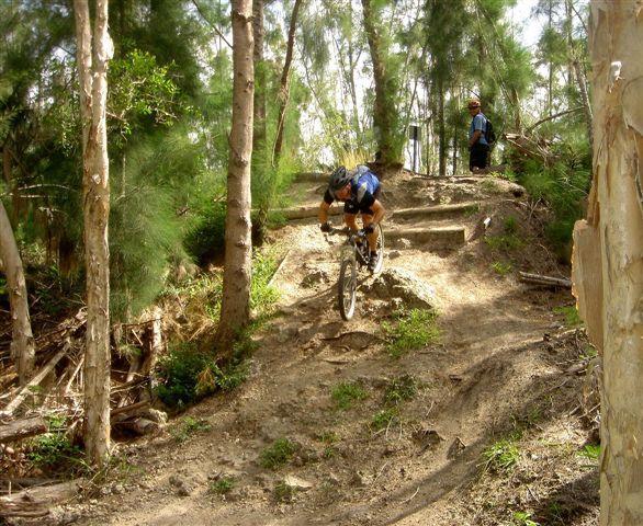 A mountain biker descends a rocky trail in a forested area, navigating downward over a series of steps. The rider is focused and in a crouched position, while another person stands nearby, observing the action. Tall trees and greenery surround the scene, indicating a natural outdoor environment. Markham Park mountain bike trail.