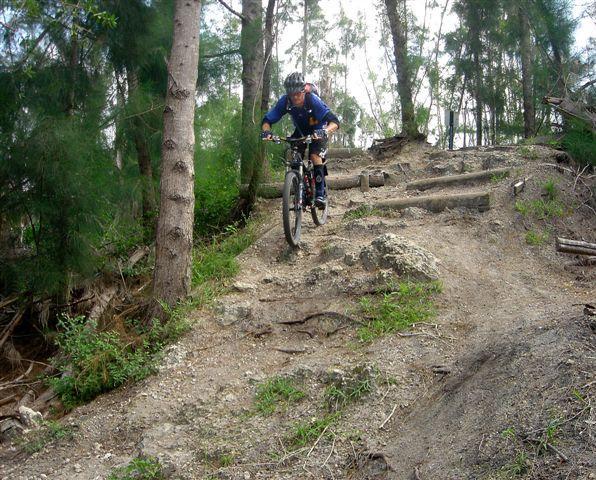 A mountain biker navigates a rocky trail in a forested area, leaning forward as they ride over rough terrain surrounded by trees. Markham Park mountain bike trail.
