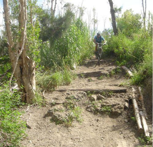 A mountain biker navigating a rugged, dirt trail lined with greenery and trees. The path features uneven terrain with rocks and logs, creating an adventurous setting for outdoor biking. Markham Park mountain bike trail.