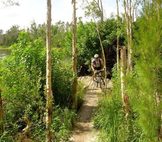 A cyclist riding a mountain bike along a narrow wooden path surrounded by lush greenery and trees, with a river visible in the background. Markham Park mountain bike trail.
