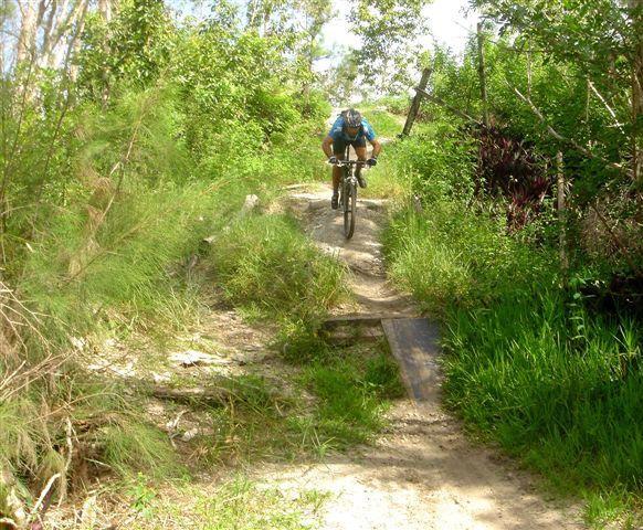 A mountain biker in a blue jersey and helmet navigates a dirt trail surrounded by lush greenery and trees. The path features a small wooden ramp, and the biker appears to be in mid-motion, showcasing an adventurous outdoor scene. Markham Park mountain bike trail.