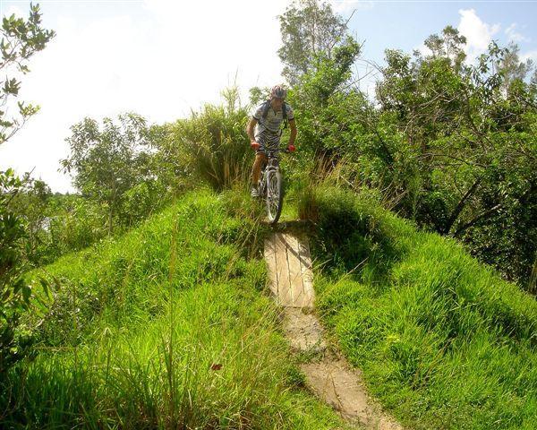 A mountain biker descending a small hill on a dirt path surrounded by lush greenery and trees under a bright sky. Markham Park mountain bike trail.