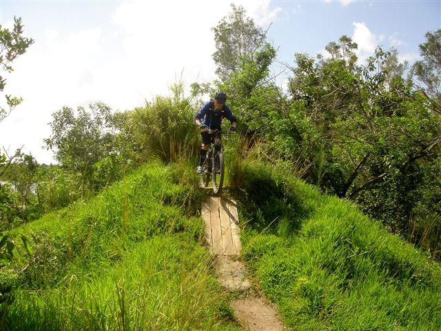 A cyclist riding a mountain bike on a dirt path, approaching a jump along a grassy hill surrounded by trees and shrubs, under a clear blue sky. Markham Park mountain bike trail.