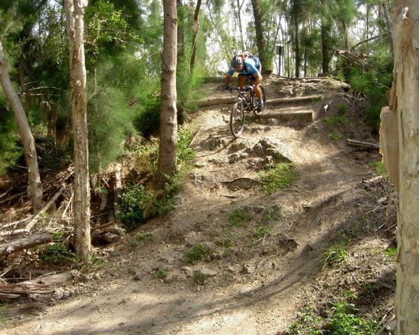 A mountain biker navigating a dirt trail through a dense forest, with trees and vegetation on either side. The biker is leaning forward, balancing while descending a steep, stepped section of the trail. Sunlight filters through the trees, highlighting the rugged terrain. Markham Park mountain bike trail.