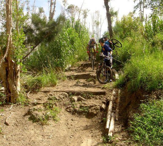 Two mountain bikers navigating a rugged dirt trail surrounded by lush greenery. One rider is lifting their bike while the other is positioned on the trail, which features wooden logs and uneven terrain. The scene captures the challenges of off-road biking in a natural setting. Markham Park mountain bike trail.