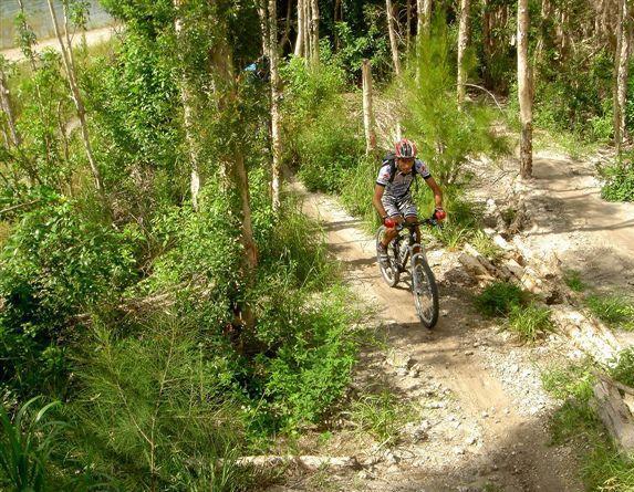 A mountain biker navigates a dirt trail through a lush, green forest, surrounded by trees and vegetation. The cyclist is wearing a helmet and athletic gear, showcasing an active outdoor lifestyle. The path is winding and rugged, emphasizing the adventurous nature of mountain biking. Markham Park mountain bike trail.