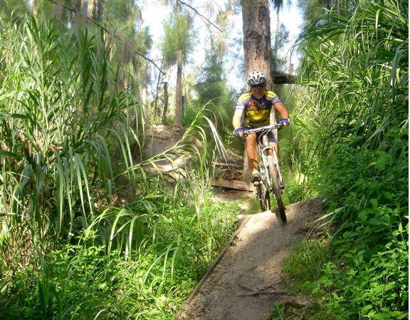 A mountain biker navigating a narrow dirt trail surrounded by lush greenery and tall grass in a wooded area. The cyclist is wearing a helmet and a colorful cycling outfit, showing an action pose as they ride downhill. Sunlight filters through the trees, highlighting the vibrant nature around them. Markham Park mountain bike trail.