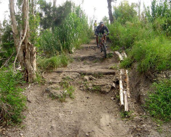 Mountain biker navigating a rocky dirt trail surrounded by tall grass and trees. The path includes wooden logs and rough terrain, emphasizing the challenges of off-road cycling. Markham Park mountain bike trail.