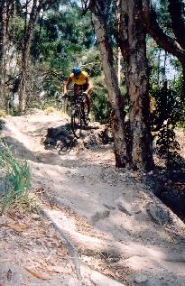 A mountain biker riding on a dirt trail surrounded by trees, captured mid-jump over a rocky section of the path. The rider wears a yellow shirt and a blue helmet, showcasing an active outdoor adventure in a natural setting. Markham Park mountain bike trail.