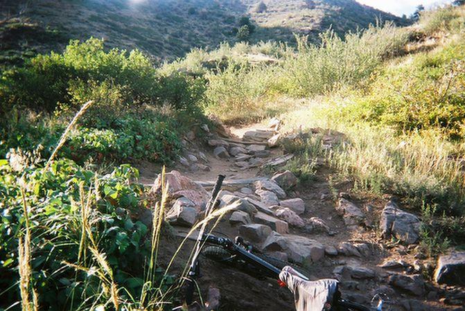 A rocky trail winding through a lush green landscape, with shrubs and plants on either side. A bicycle can be seen positioned along the trail, indicating a biking activity in a mountainous area. The scene is bathed in natural sunlight, hinting at a clear, outdoor day. Apex Park mountain bike trail.