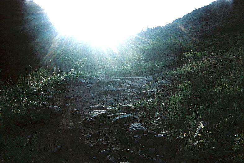 A rocky path leading towards a bright light in the background, surrounded by lush green vegetation and sun rays filtering through the landscape. The scene captures a tranquil moment in nature, with a sense of depth and openness. Apex Park mountain bike trail.