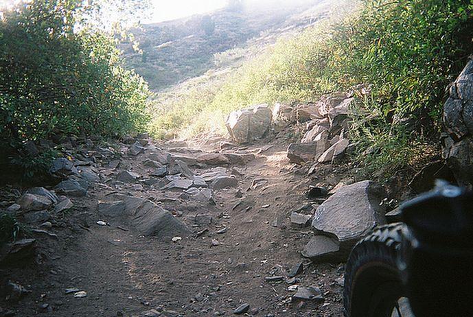 A rocky dirt trail leading through a lush green landscape, with sunlight filtering in from above. The path is uneven, with scattered rocks and vegetation lining either side. A portion of a vehicle tire is visible in the foreground. Apex Park mountain bike trail.