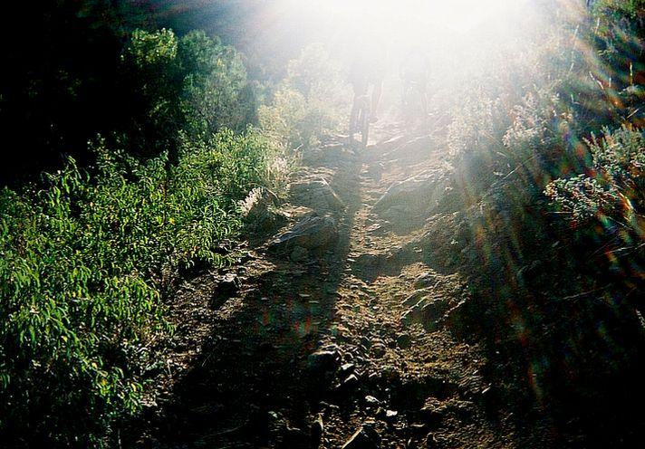 A sunlit, rocky trail surrounded by greenery, with silhouettes of two people walking or biking in the background. The image has a bright, glare effect due to sunlight shining from above, creating a soft, diffused look. Apex Park mountain bike trail.