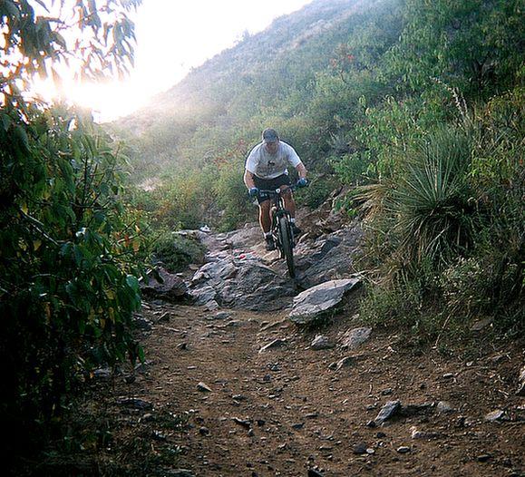 A mountain biker navigating a rocky trail surrounded by vegetation, with sunlight filtering through the trees. Apex Park mountain bike trail.