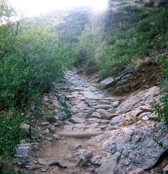 A rocky trail winding through green foliage, surrounded by a hilly landscape. The path is made of uneven stones and dirt, leading upward into the distance, with bright light illuminating the scene from above. Apex Park mountain bike trail.