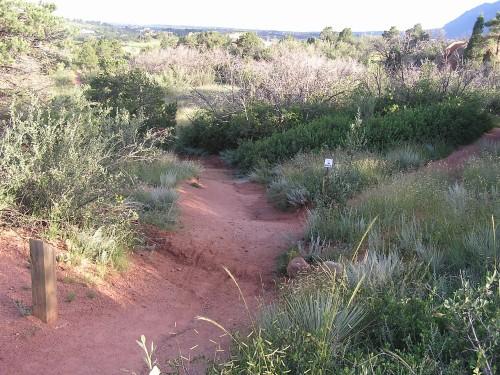 A narrow dirt path winding through a natural landscape, surrounded by green shrubs and grasses, with distant hills and blue sky in the background. Garden of the Gods: Ute Trail mountain bike trail.
