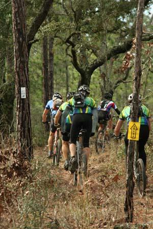 A group of four mountain bikers wearing colorful jerseys ride along a dirt trail in a forested area, surrounded by trees and vegetation. A directional sign is visible on the right side of the path. Withlacoochee State Forest: Croom Section mountain bike trail.