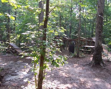A serene forest scene featuring a natural woodland setting. In the background, there is a wooden structure that resembles a playground or gathering area, surrounded by tall trees and greenery. A small pathway is visible, leading toward the structure, while some picnic tables can be seen partially hidden among the trees. The ground is sandy and earthy, typical of a woodland environment. Pee Wee's Mountain Bike Park mountain bike trail.