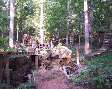 A forest scene featuring a wooden structure made from logs and planks, built around a large uprooted tree stump. The surrounding area includes lush green foliage and tall trees, creating a natural, wooded atmosphere. Pee Wee's Mountain Bike Park mountain bike trail.