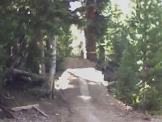 A dirt trail winding through a forest, surrounded by tall trees and greenery, with a sunlit path and a gentle incline visible in the background. Keystone Resort Bike Park mountain bike trail.
