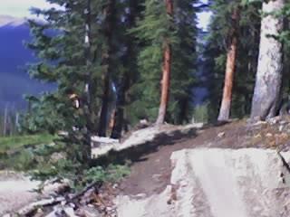 A dirt path winding through a forest with tall pine trees on both sides, set against a backdrop of distant mountains under a clear blue sky. Keystone Resort Bike Park mountain bike trail.