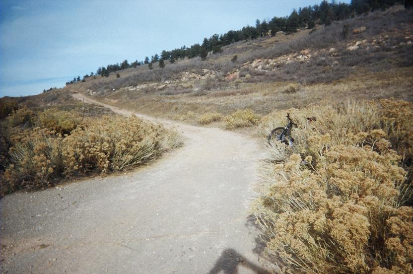A dirt path curving through a natural landscape with shrubs and grasses on either side. A bicycle is leaned against the vegetation on the right. In the background, there are rolling hills covered in sparse trees under a clear blue sky. The scene conveys a sense of outdoor adventure and tranquility. Red Rocks / Dakota Ridge mountain bike trail.