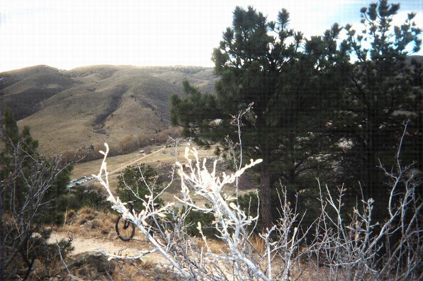 A scenic view of rolling hills and a mountainous landscape, featuring sparse vegetation and a backdrop of pine trees. The foreground includes dry branches and shrubs, while the distant hills are illuminated under a cloudy sky, creating a tranquil natural setting. Red Rocks / Dakota Ridge mountain bike trail.