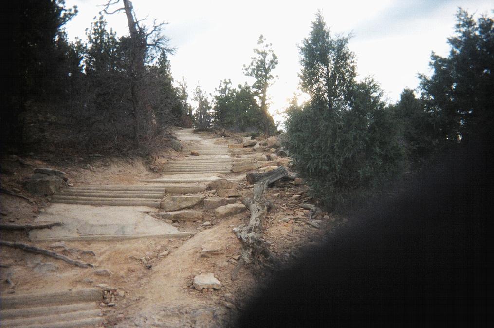 A winding dirt path leads upwards, featuring uneven stone steps surrounded by dense greenery. Tall trees frame the scene, with sunlight breaking through the branches in the distance. The atmosphere is tranquil, hinting at a natural outdoor setting. Red Rocks / Dakota Ridge mountain bike trail.