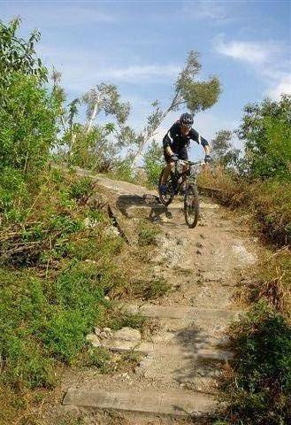 A mountain biker riding down a rocky trail surrounded by greenery and trees, with a clear blue sky in the background. The cyclist is wearing a helmet and biking gear, navigating a steep descent. Markham Park mountain bike trail.