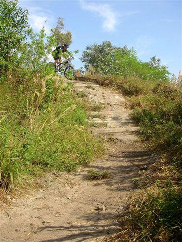 A mountain biker descending a rocky path surrounded by tall grass and foliage on a sunny day. The trail is uneven and leads down from a small hill, with trees visible in the background. Markham Park mountain bike trail.