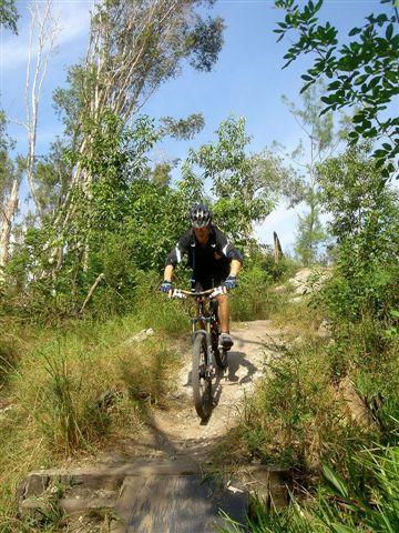 A mountain biker riding a trail through a lush, green landscape, surrounded by trees and foliage on a sunny day. Markham Park mountain bike trail.