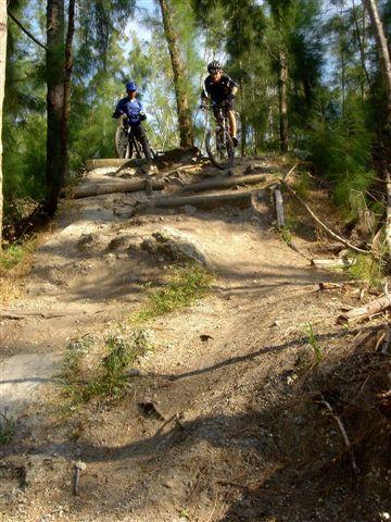 Two mountain bikers navigating a rocky trail in a forested area, with tall trees and a clear blue sky in the background. One biker is descending a steep section with roots and rocks visible on the path. Markham Park mountain bike trail.
