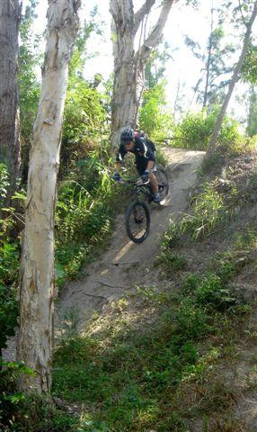 A mountain biker navigating a dirt trail in a wooded area, surrounded by trees and greenery. The rider is in a crouched position, with a focused expression, as they descend a slope on their bike. Markham Park mountain bike trail.