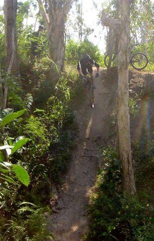 A mountain biker descends a steep dirt path in a wooded area, surrounded by lush greenery and tall trees. Dust is kicking up from the ground as the rider navigates the challenging terrain. Another bicycle is visible in the background. Markham Park mountain bike trail.