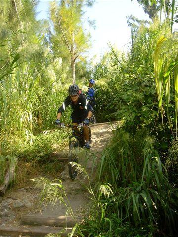 A mountain biker navigating a narrow dirt path through lush greenery and tall grass, with a second biker visible in the background. The scene captures an outdoor adventure in a natural setting. Markham Park mountain bike trail.