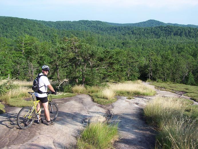 A mountain biker stands on rocky terrain, looking out over a lush, green landscape of rolling hills and forests under a clear blue sky. The biker is wearing a helmet and a cycling outfit, with a yellow bike beside him. Tall grass and rocky outcrops surround the area, creating a scenic outdoor setting. DuPont State Forest mountain bike trail.