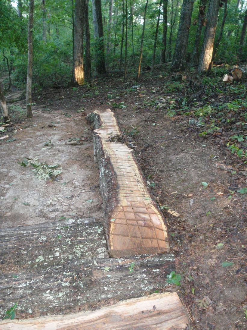 A section of a forest clearing showing a large, recently cut log with a textured surface. Surrounding the log are patches of dirt and scattered leaves, with trees and underbrush visible in the background. Blankets Creek mountain bike trail.