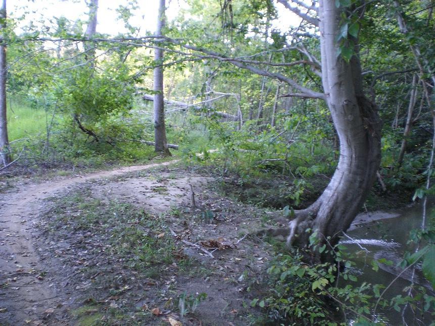 Beech Spring Mountain Bike Park (Poplar Tent Road) Photos