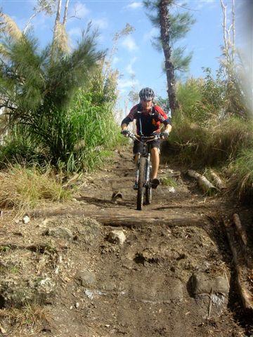A mountain biker navigating a rugged trail, descending a rocky path surrounded by greenery and trees. The cyclist is wearing a helmet and a red and black jersey, focused on maneuvering down the slope on a sunny day. Markham Park mountain bike trail.