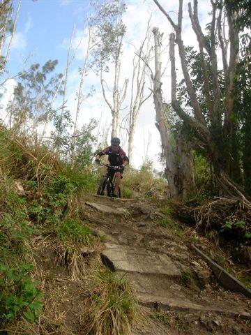 A mountain biker navigating a rugged dirt trail surrounded by trees and greenery, with a clear blue sky above. The trail features stone steps, adding a challenging element to the ride. Markham Park mountain bike trail.