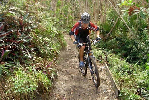 A person riding a mountain bike on a narrow trail surrounded by lush greenery and tropical plants. The cyclist is focused on navigating the rugged terrain and is wearing a helmet and cycling gear. Markham Park mountain bike trail.