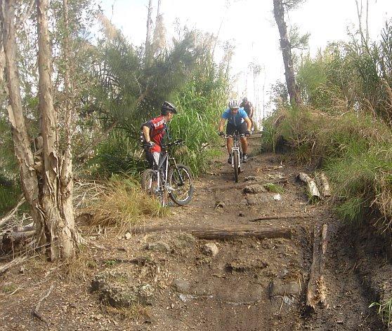 Two mountain bikers navigating a rough, wooded trail. One biker in a red jersey is walking alongside their bike while the other, in a blue helmet and jersey, is riding down a steep path lined with rocks and vegetation. The scene is set among tall trees and dense greenery, indicating an outdoor biking adventure. Markham Park mountain bike trail.