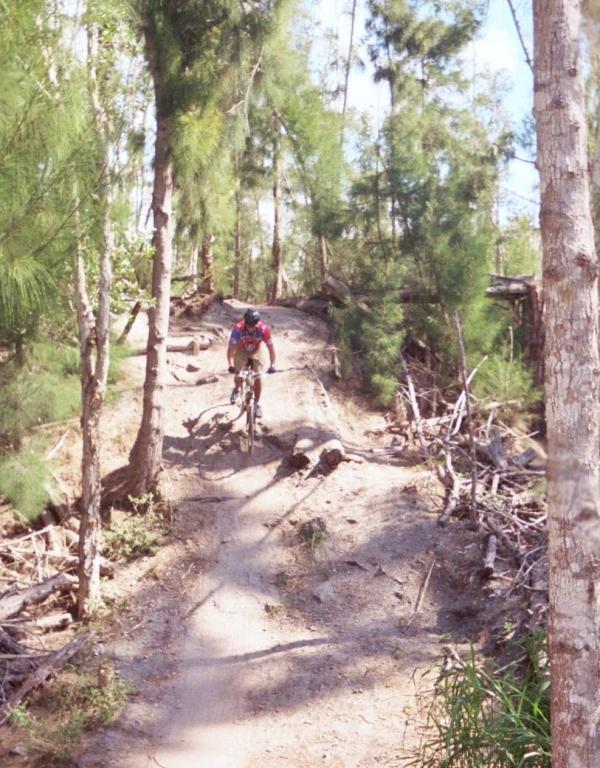 A mountain biker navigates a dirt path through a forested area, surrounded by tall trees and scattered branches. The biker is focused and leaning forward on the bike as they ride down a slope. Sunlight filters through the trees, creating a bright and vibrant atmosphere. Markham Park mountain bike trail.