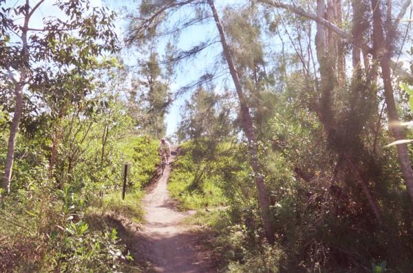A winding dirt path leads through a lush, green forest. Tall trees with slender trunks and bright foliage surround the trail, which gently slopes upward. In the distance, a person is seen walking along the path, enjoying the natural scenery under a clear blue sky. Markham Park mountain bike trail.