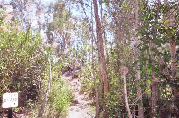 A narrow dirt trail winding through dense greenery, with tall trees and bushes lining the path. A sign labeled "BYPASS" is visible on the left side of the image, indicating a nearby alternative route. Sunlight filters through the foliage, creating a bright and inviting atmosphere in the forested area. Markham Park mountain bike trail.