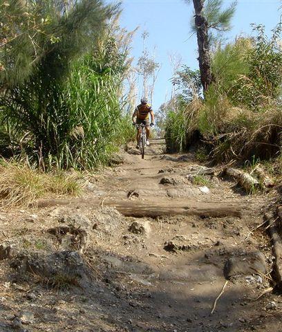 A mountain biker riding down a rocky and uneven path surrounded by tall grass and trees. The trail is rugged, with visible roots and rocks, suggesting a challenging terrain for cycling. Markham Park mountain bike trail.